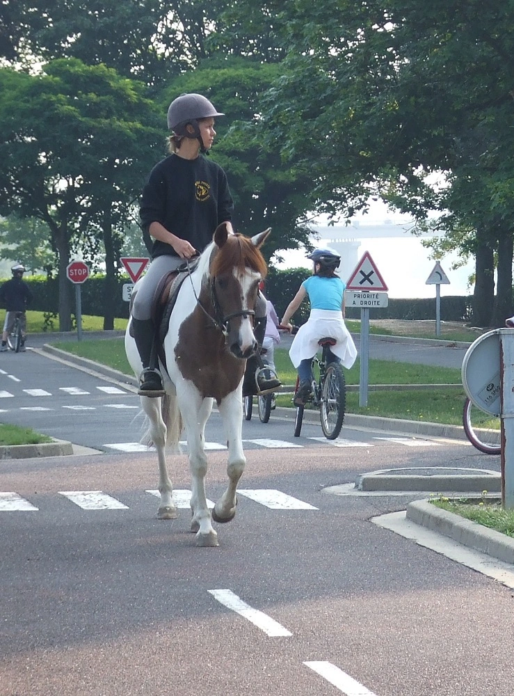Des enfants à vélo et un cheval monté circulent sur un circuit d'apprentissage de la sécurité routière en milieu urbain.